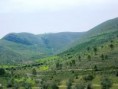 /album/imagens13/transferir-1-jpg6/